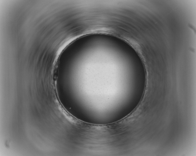 X0000102830816200808251132