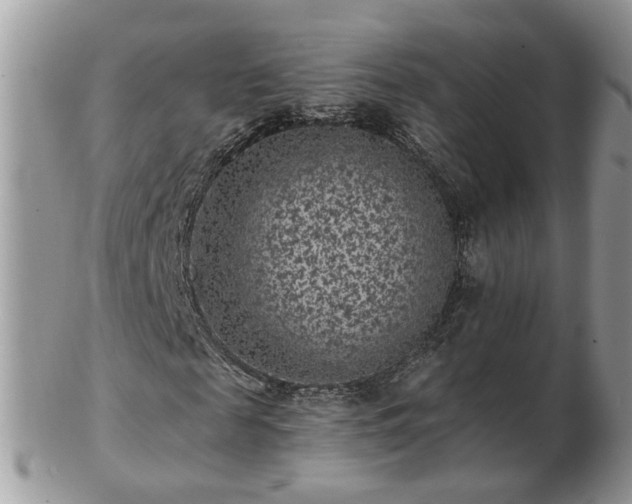 X0000102830817200808251132