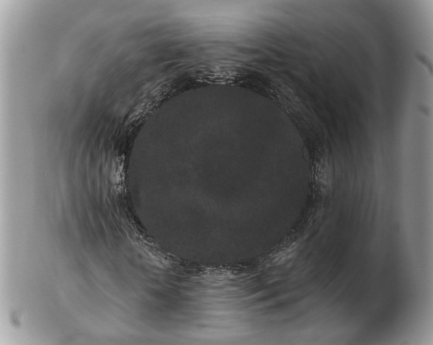 X0000102830818200808251132