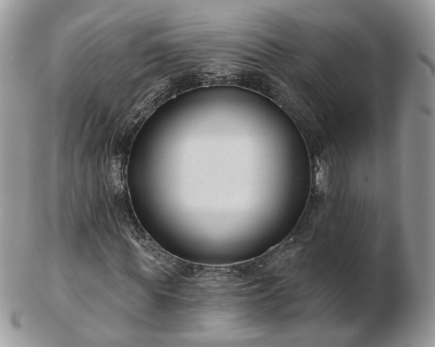 X0000102830819200808251132