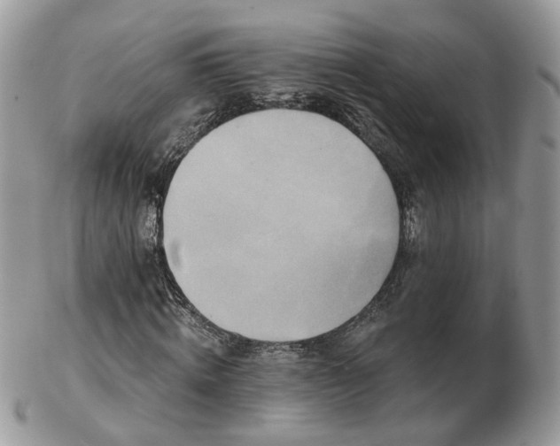 X0000102830820200808251132