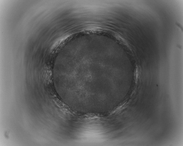 X0000102830822200808251132