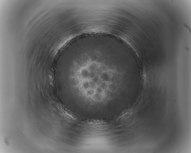 X0000102830823200808251132