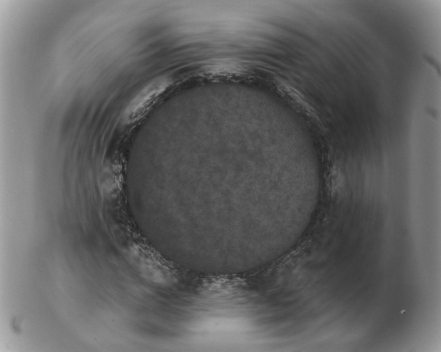 X0000102830824200808251132