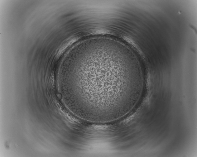 X0000102830825200808251132