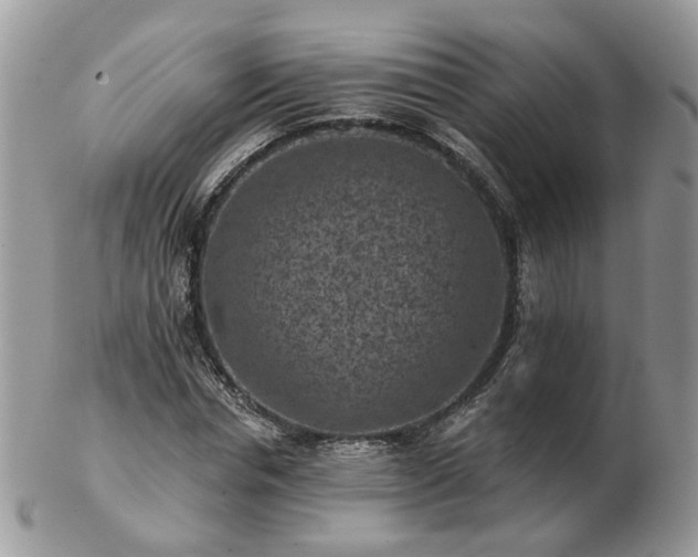 X0000102830826200808251132