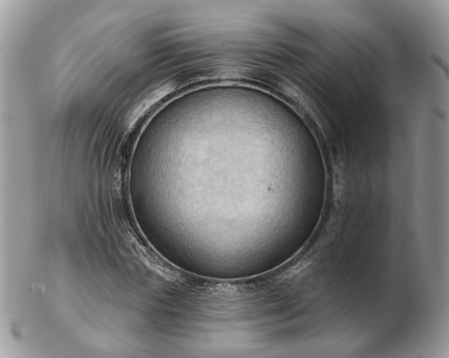 X0000102830827200808251132