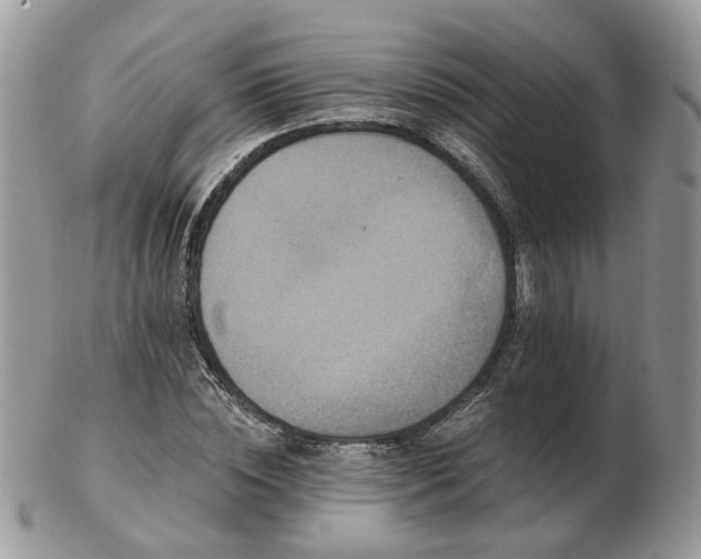 X0000102830828200808251132