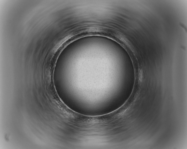 X0000102830829200808251132