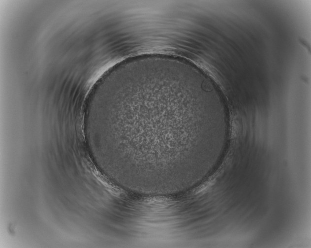 X0000102830830200808251132