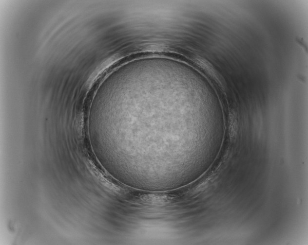 X0000102830831200808251132