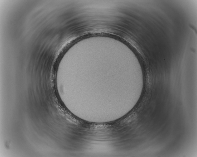 X0000102830832200808251132