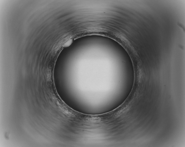 X0000102830833200808251132