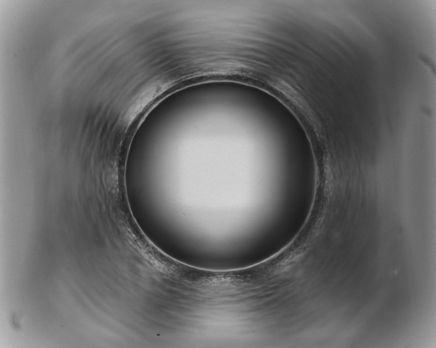 X0000102830834200808251132