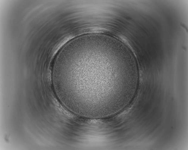 X0000102830835200808251132