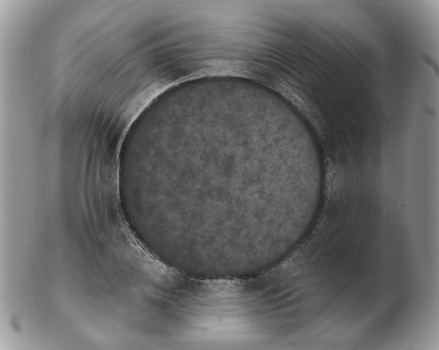 X0000102830836200808251132