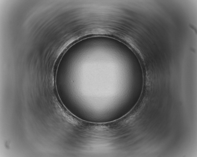 X0000102830837200808251132