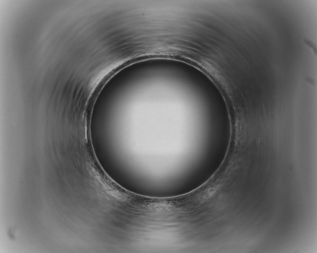 X0000102830838200808251132