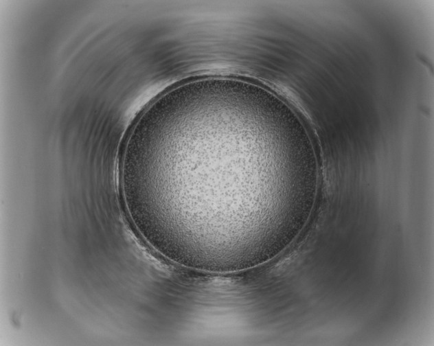 X0000102830839200808251132