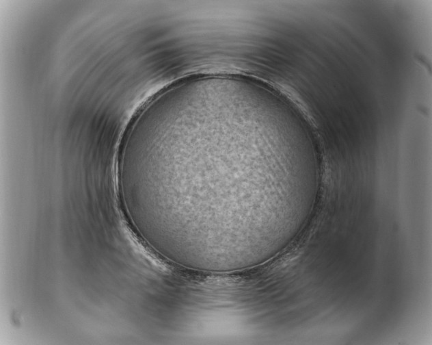 X0000102830840200808251132