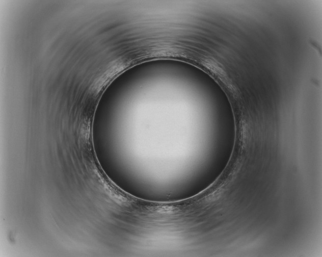 X0000102830841200808251132