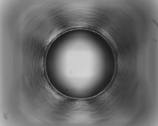 X0000102830842200808251132