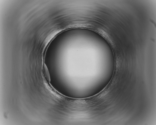 X0000102830844200808251132