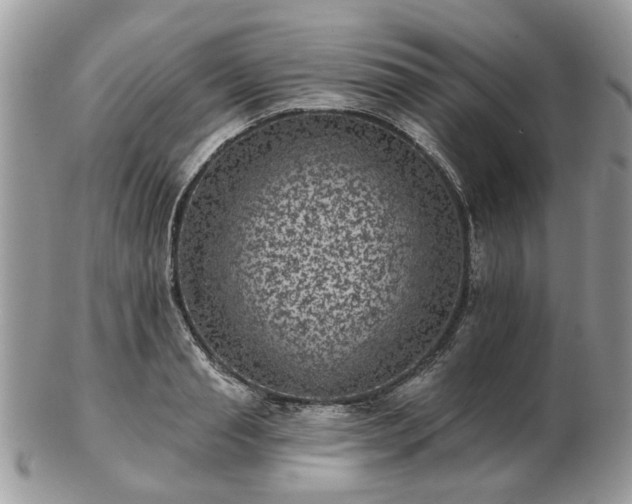 X0000102830845200808251132