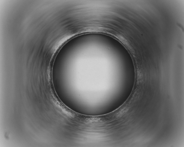 X0000102830846200808251132