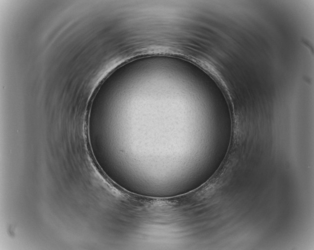 X0000102830847200808251132