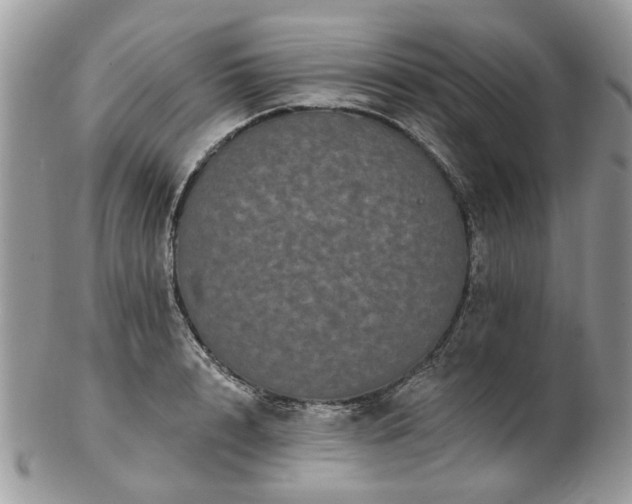 X0000102830848200808251132