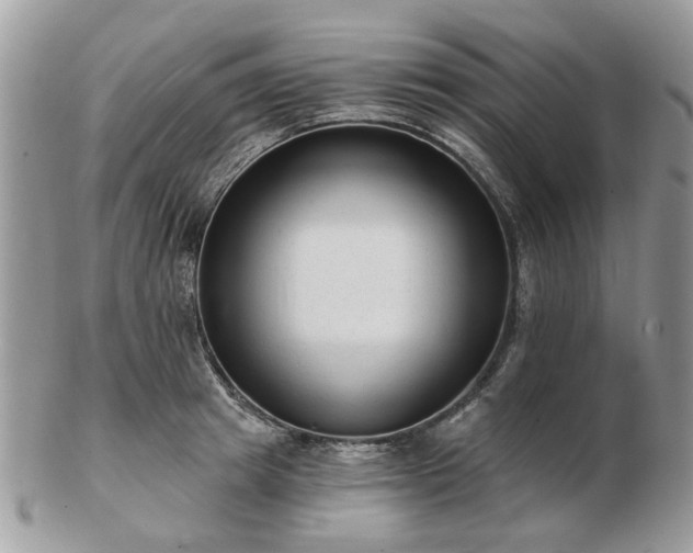 X0000102830849200808251132