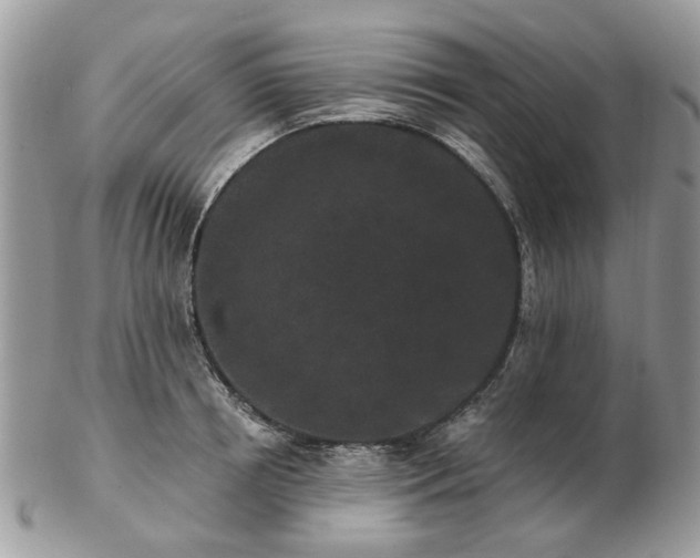 X0000102830850200808251132