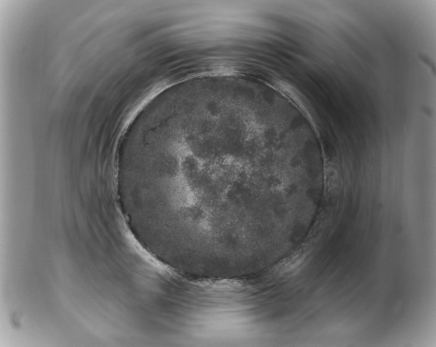 X0000102830851200808251132