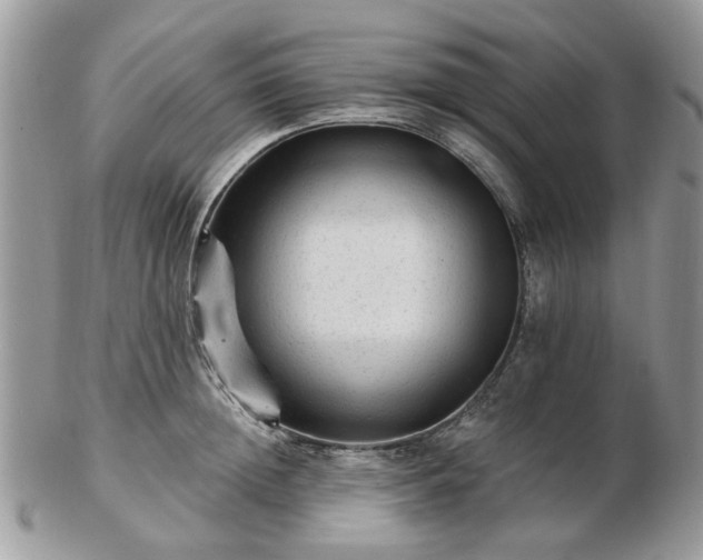 X0000102830852200808251132