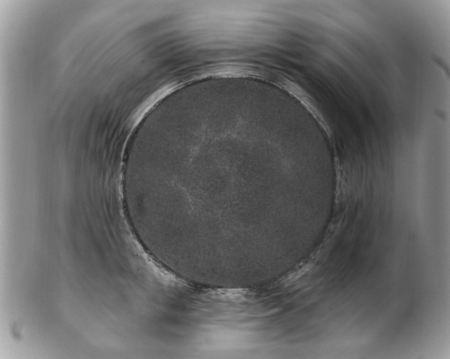 X0000102830853200808251132