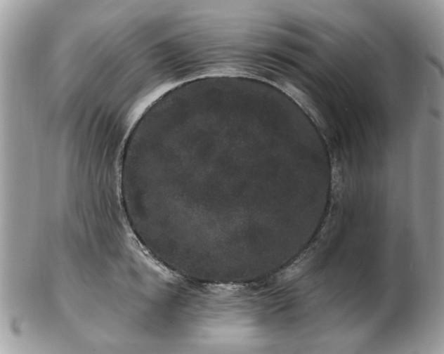 X0000102830854200808251132