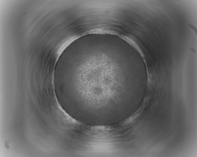 X0000102830855200808251132