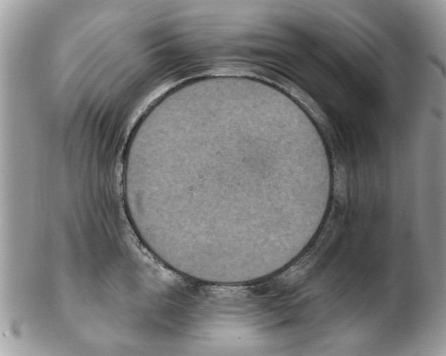 X0000102830856200808251132