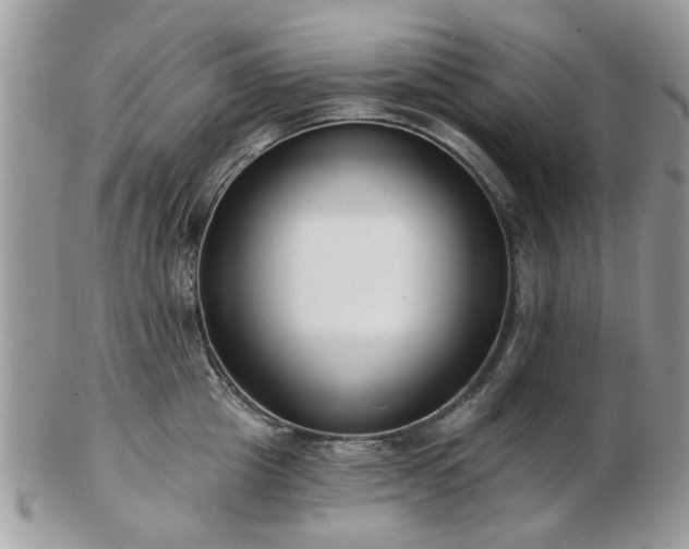 X0000102830857200808251132