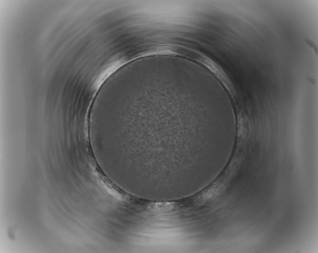 X0000102830858200808251132