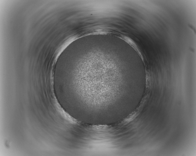 X0000102830859200808251132