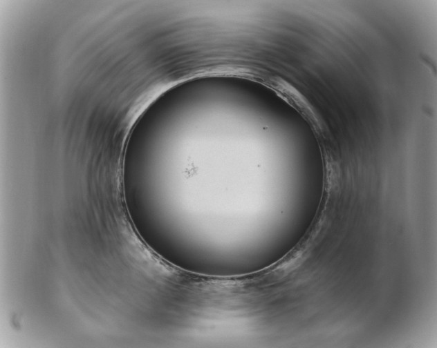 X0000102830860200808251132