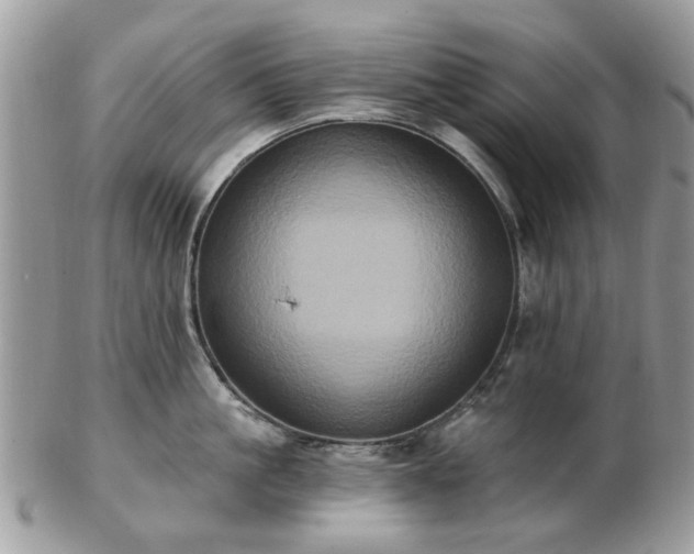 X0000102830861200808251132