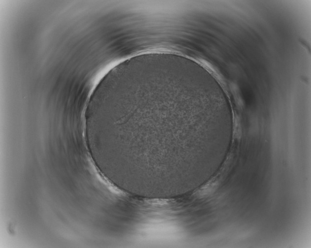 X0000102830862200808251132