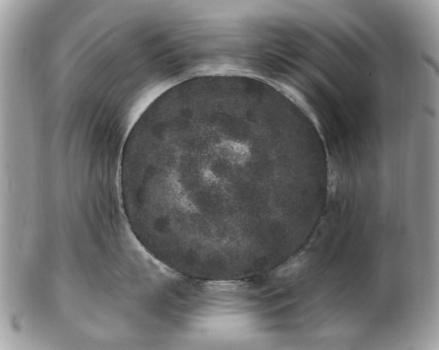 X0000102830863200808251132