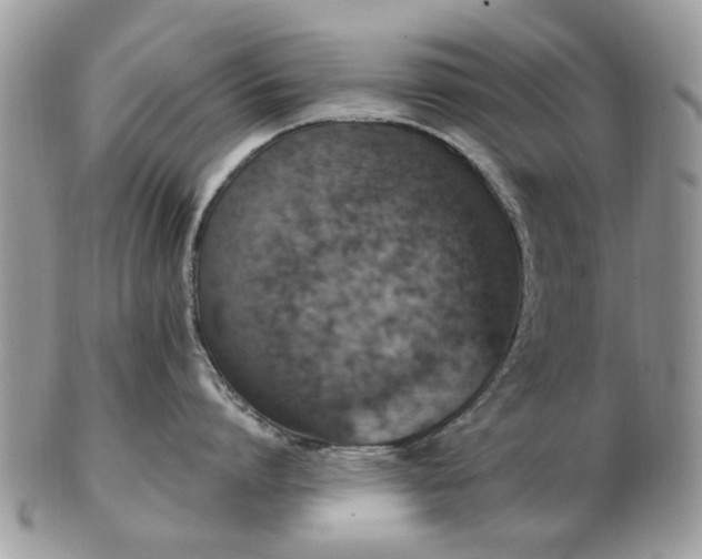 X0000102830864200808251132