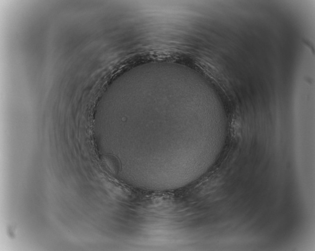 X0000102830865200808251131