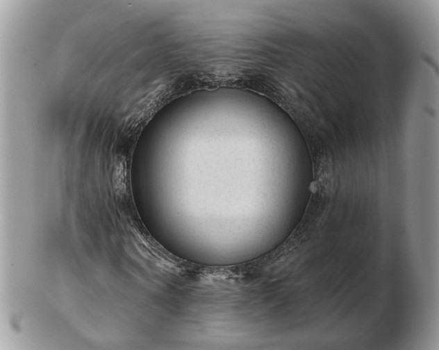 X0000102830866200808251131