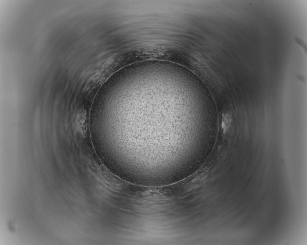 X0000102830867200808251131